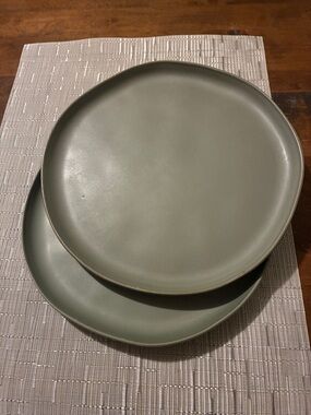 Set of 2 stoneware Hearth & Hand green dinner plates / dishes